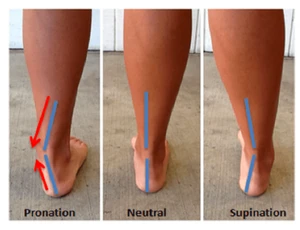 Source: https://www.verywellfit.com/pronation-definition-3436329