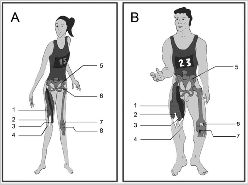 Crédits: . https://doi.org/10.3325/cmj.2007.6.767 CC 4.0