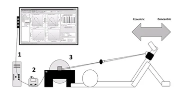 Crédits: Piqueras-Sanchiz et al.